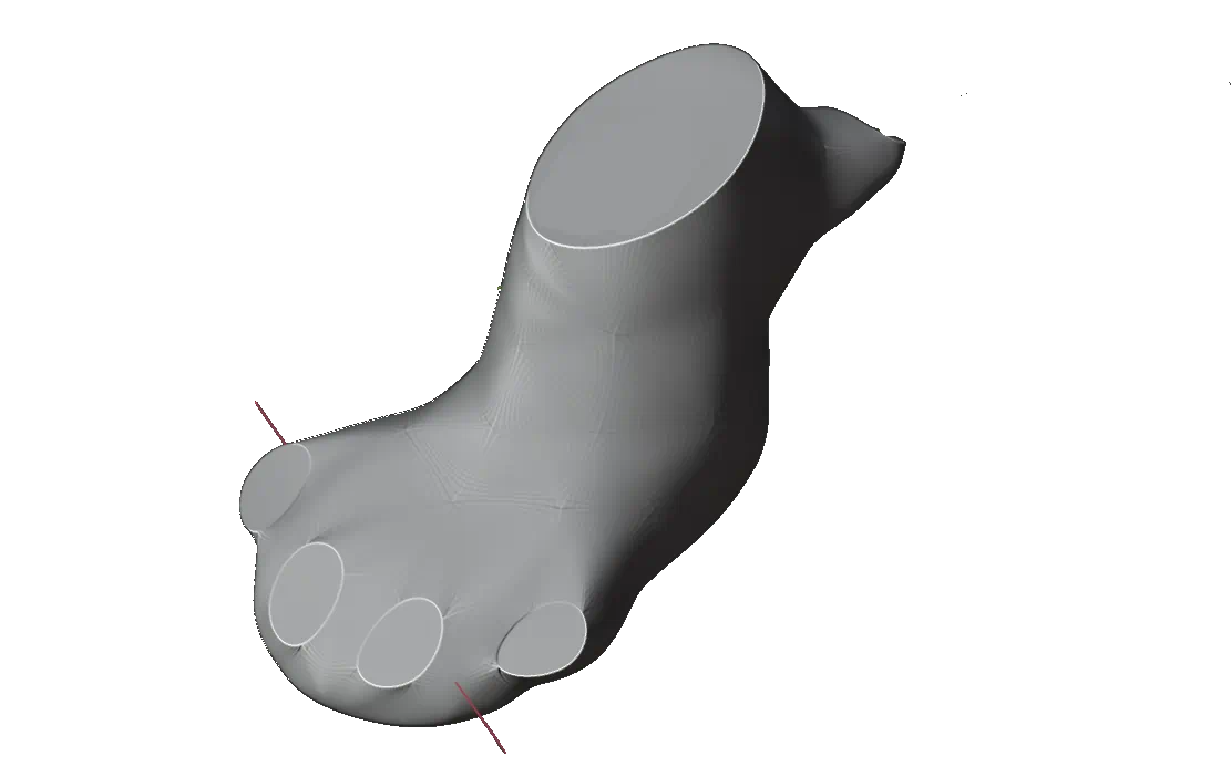 foot